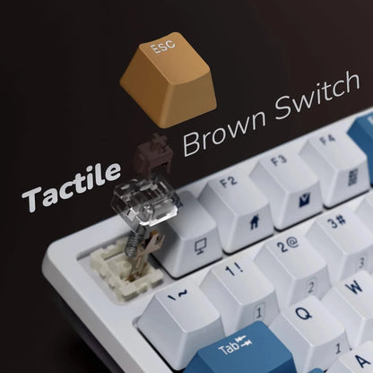 Exploded view of a tactile brown switch mechanical keyboard key with an amber ESC keycap removed