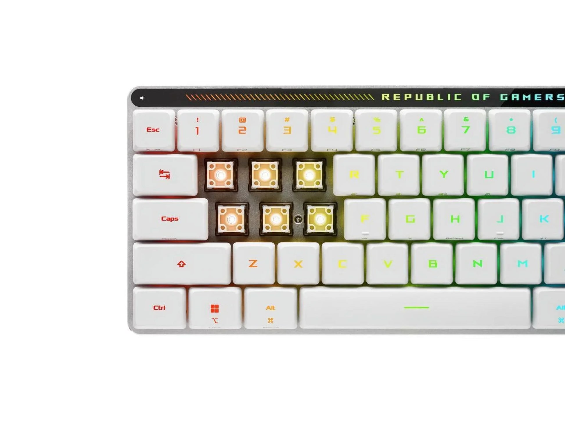 RGB gaming keyboard with white keycaps, exposed switches, and Republic of Gamers branding