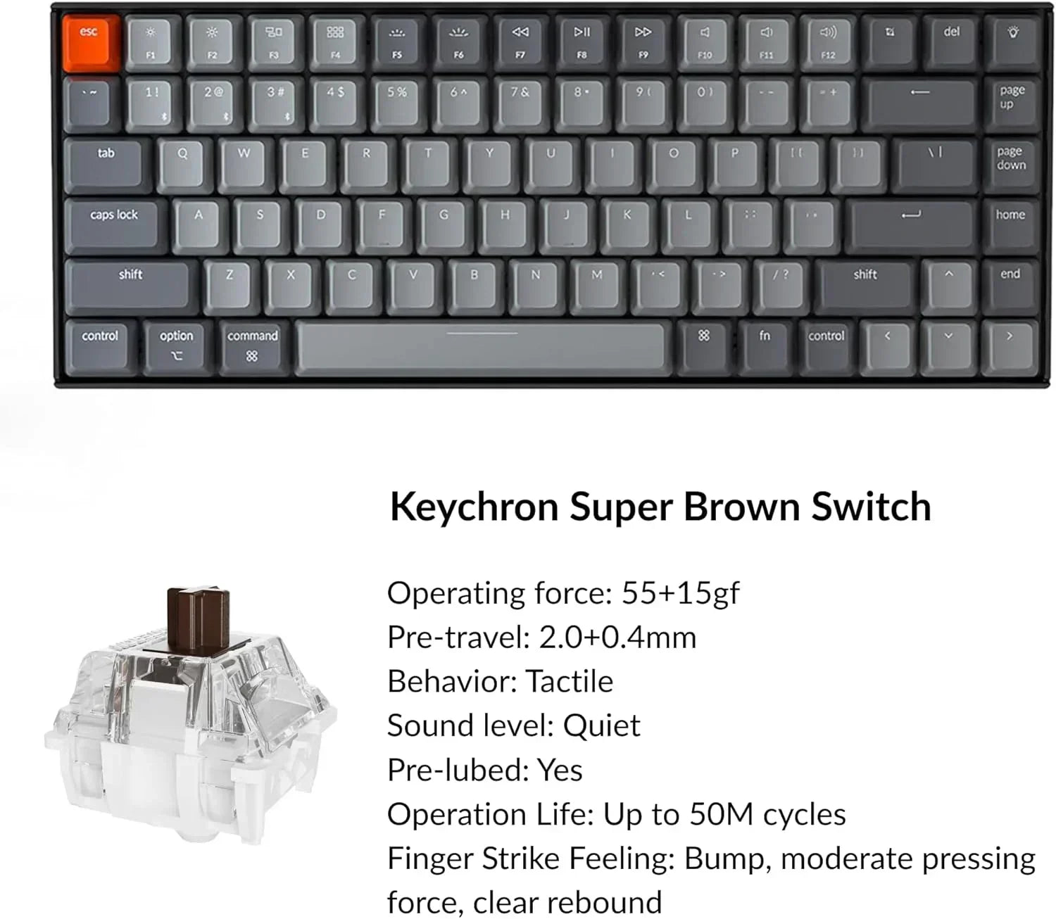 K2 75% Layout RGB Bluetooth Wireless Mechanical Keyboard with  Super Brown Switch/Anti Ghosting/N-Key Rollover, Compact 84 Keys USB Wired Gaming Keyboard for Mac Windows-Version 2