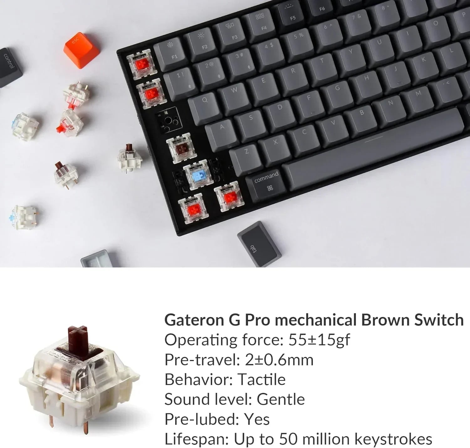Mechanical keyboard with Gateron G Pro Brown Switches, keycaps removed, gaming gear closeup