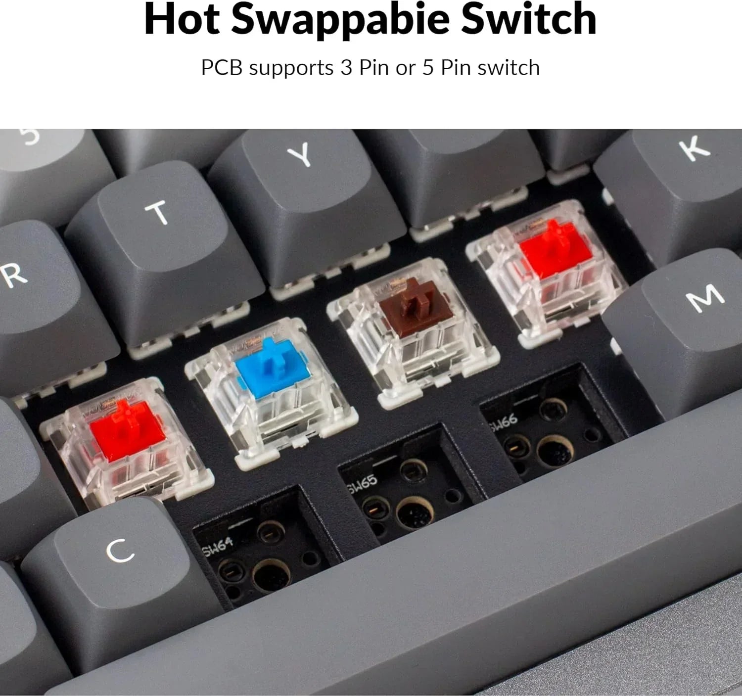 Mechanical keyboard with hot swappable RGB switches, close-up on keycaps and PCB slots