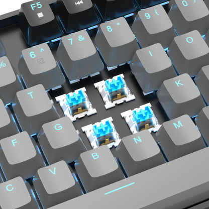 Close-up of gaming keyboard with gray keycaps, blue mechanical switches, and RGB backlighting
