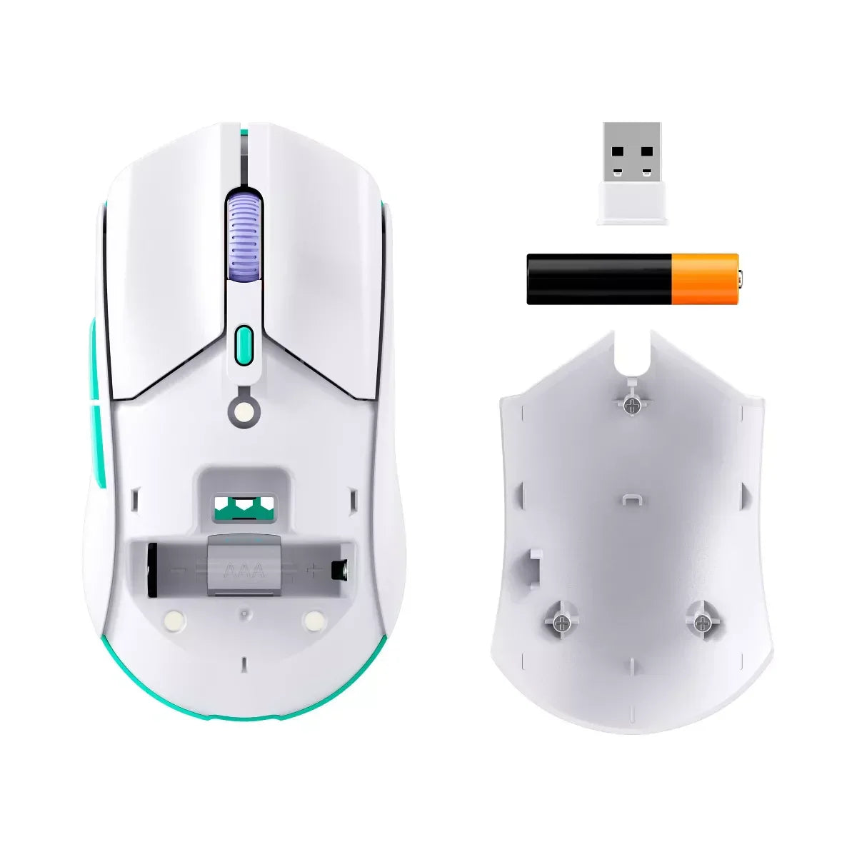 White wireless computer mouse with open battery compartment, AAA battery, and USB receiver on white background