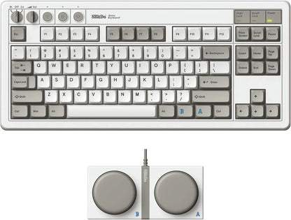 Retro 8BitDo mechanical keyboard in gray and white with dual programmable button pad.