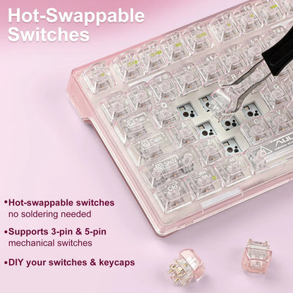 Transparent mechanical keyboard with hot-swappable switches for custom gaming setups
