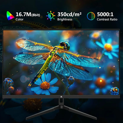 Z-EDGE monitor displaying vibrant dragonfly over blue flowers with 16.7M color, 350 cd/m² brightness, 5000:1 contrast