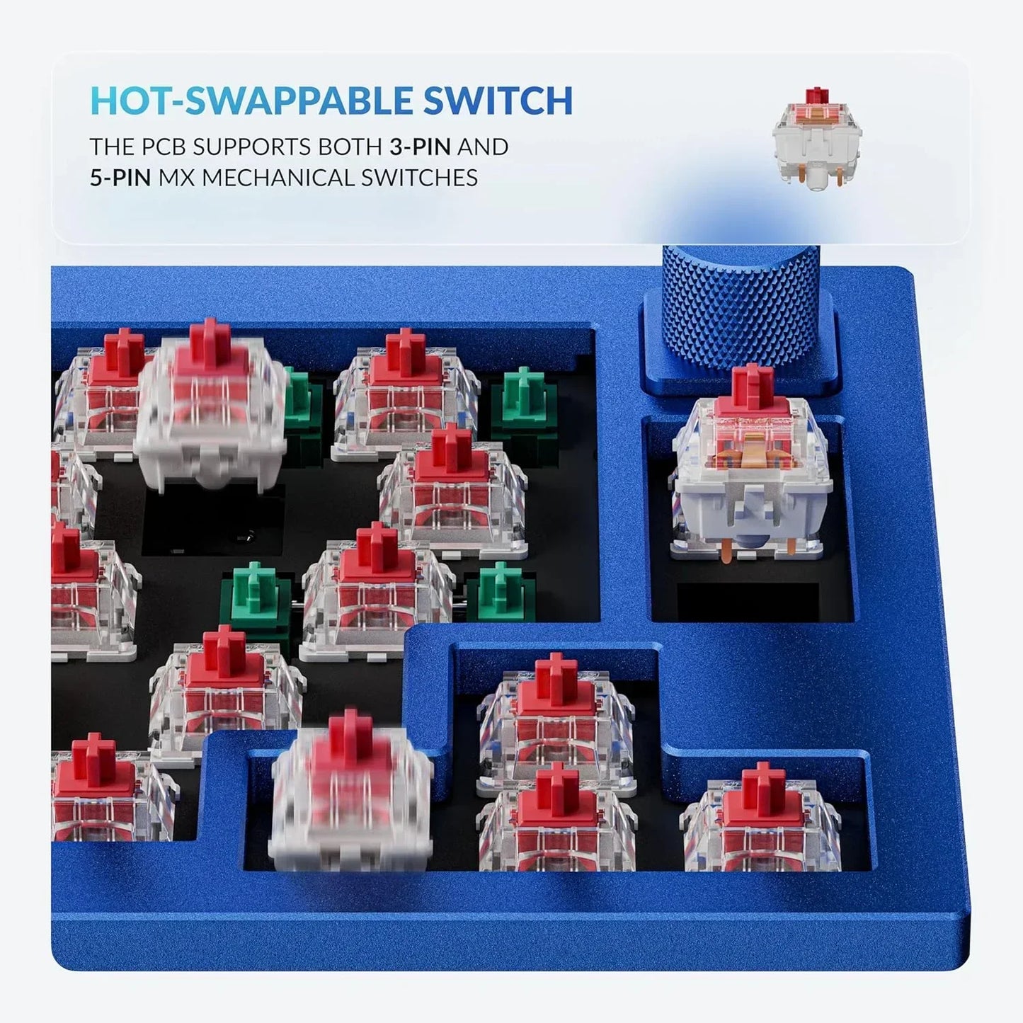 Hot-swappable mechanical keyboard switches with red and green stems on a blue keyboard frame