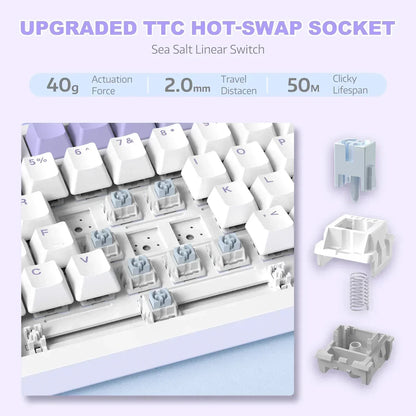 AK820 Mechanical Keyboard with CNC Knob Control,82Keys Gasket Mount Wired Gaming Keyboard,75% ANSI Layout,5 Sound Absorbing Foam,Hot-Swappable,White Backlit,For PC,MAC (White&Purple)