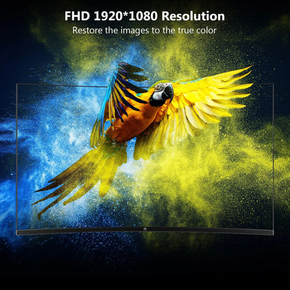 Curved monitor displaying vibrant parrot with blue and yellow powder clouds, highlighting FHD 1920x1080 resolution