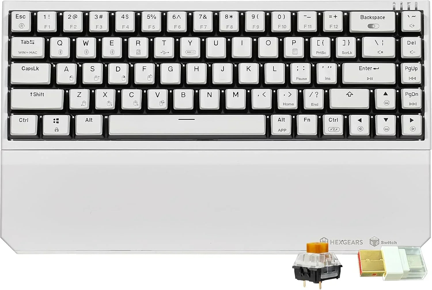 White Hexgears mechanical keyboard with wrist rest and switch, modern gaming gear